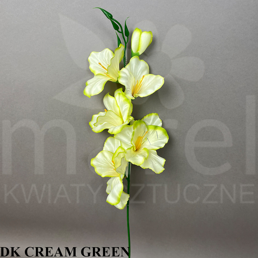 DK CREAM GREEN.jpg