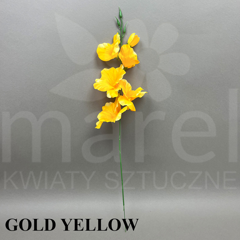 GOLD YELLOW.jpg