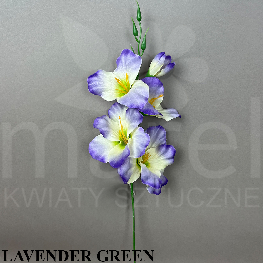 LAVENDER GREEN.jpg