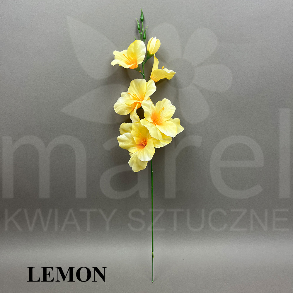 LEMON.jpg