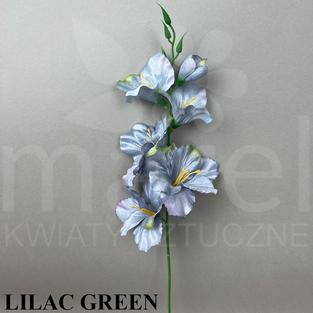 LILAC GRREN.jpg