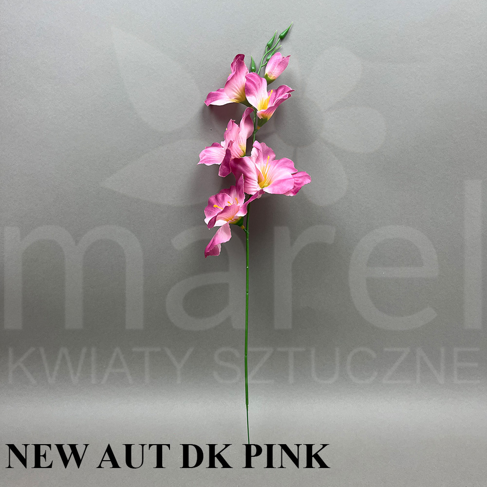 NEW AUT DK PINK.jpg