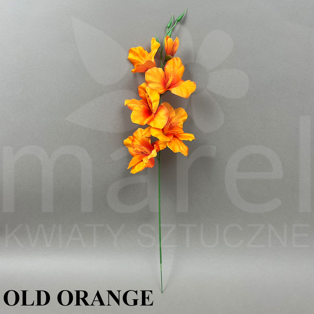 OLD ORANGE J20-04.jpg