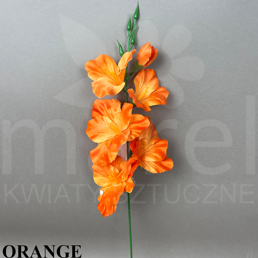 ORANGE.jpg