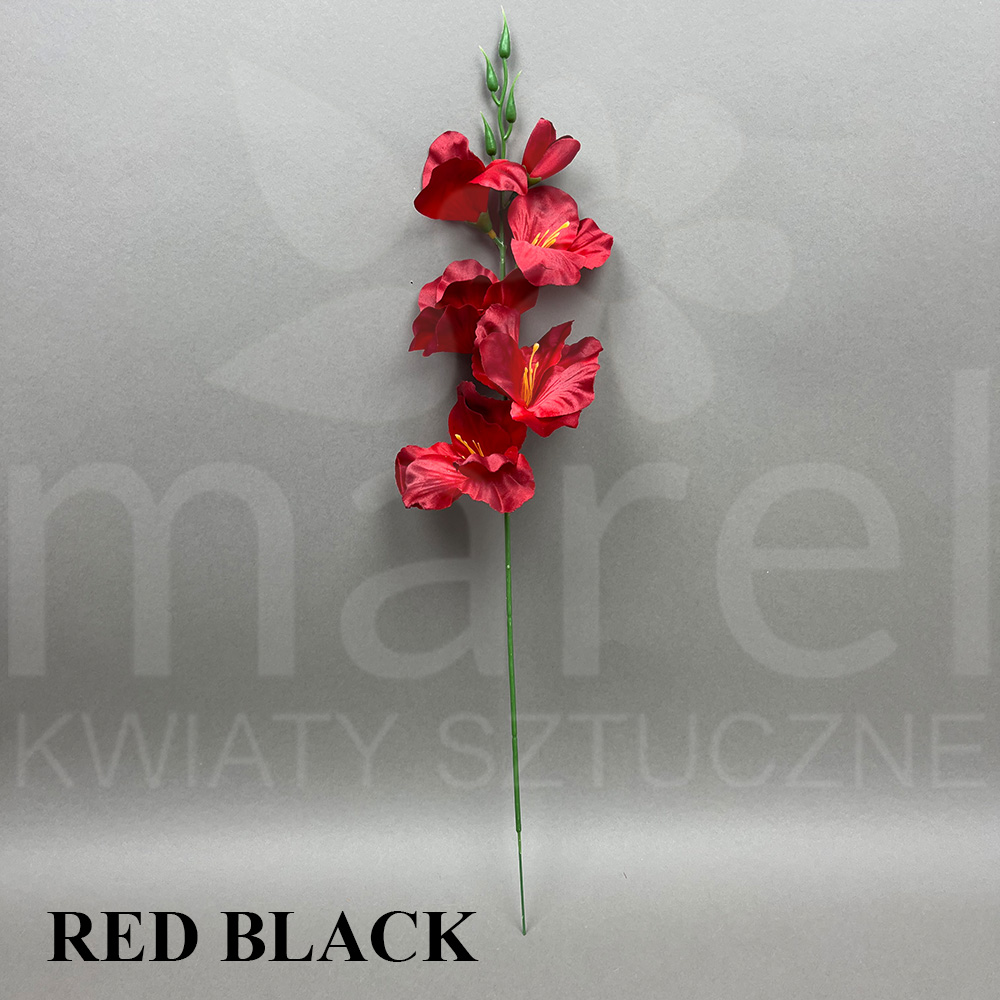 RED BLACK.jpg