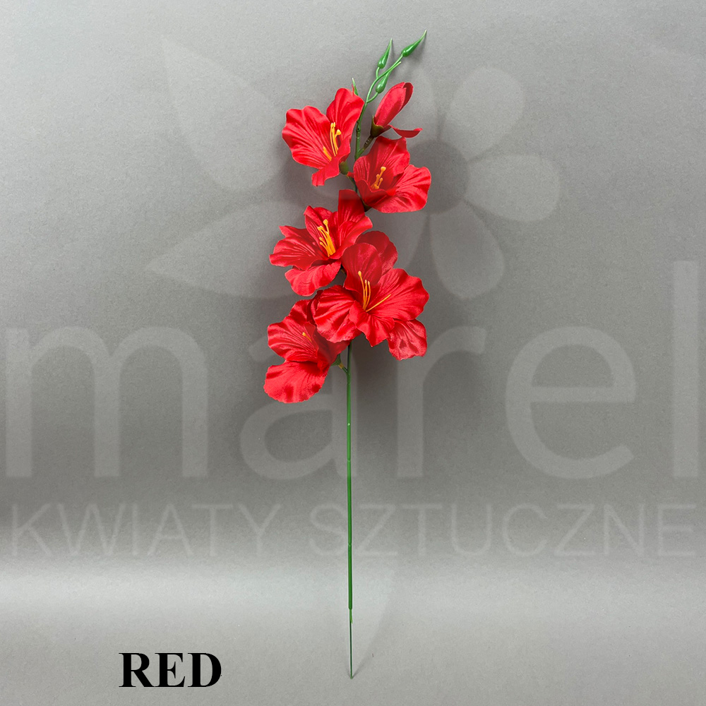RED S-081.jpg