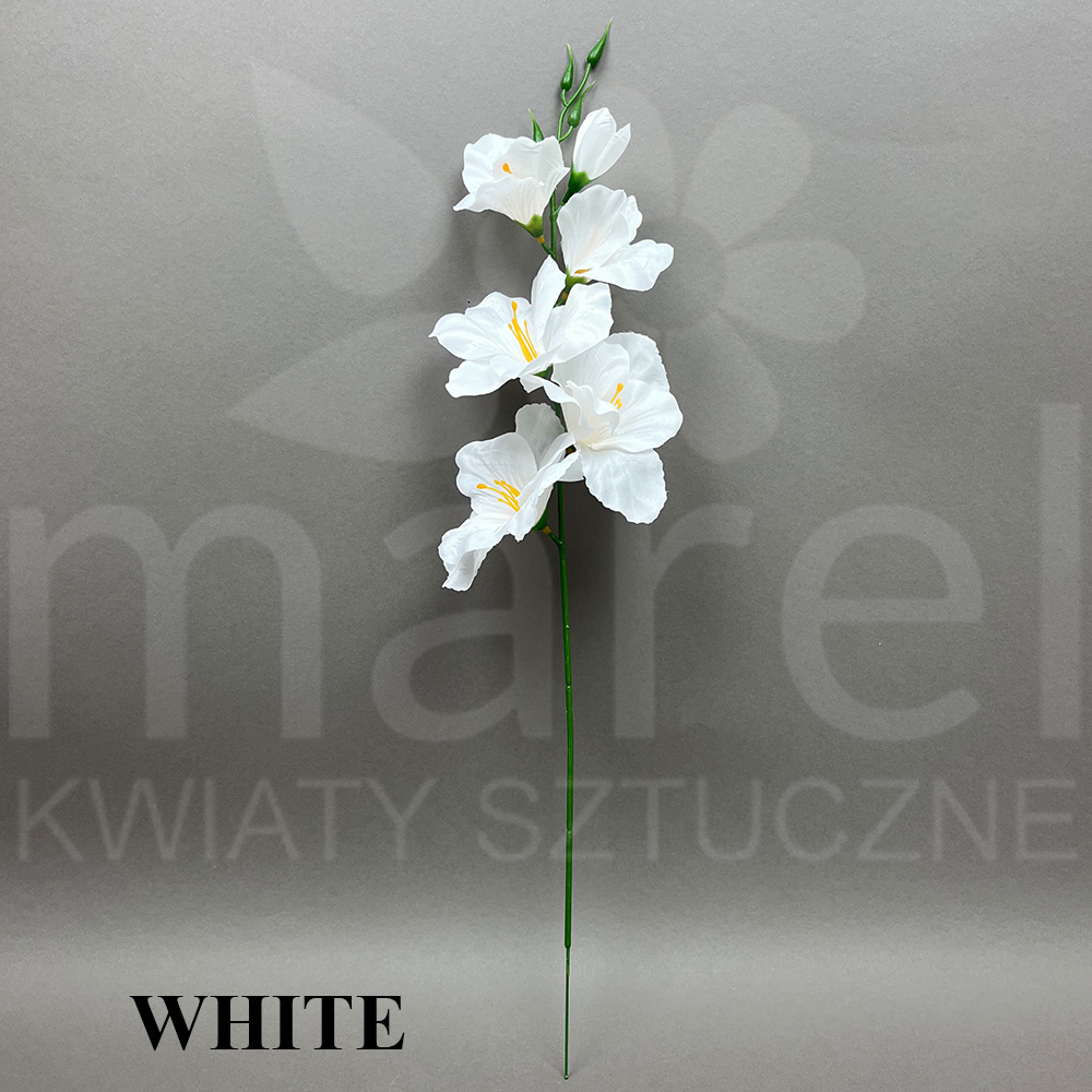 WHITE.jpg
