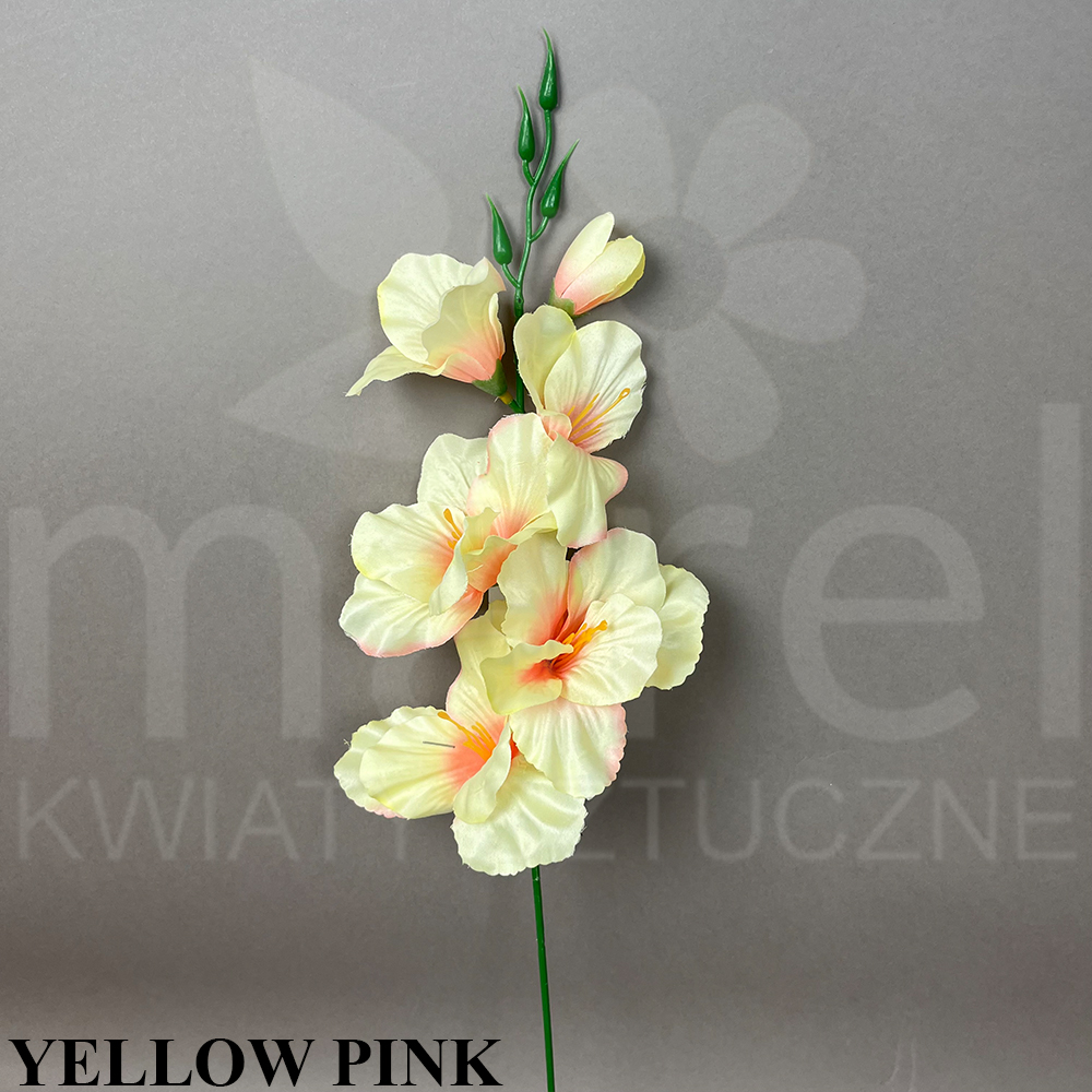 YELLOW PINK.jpg