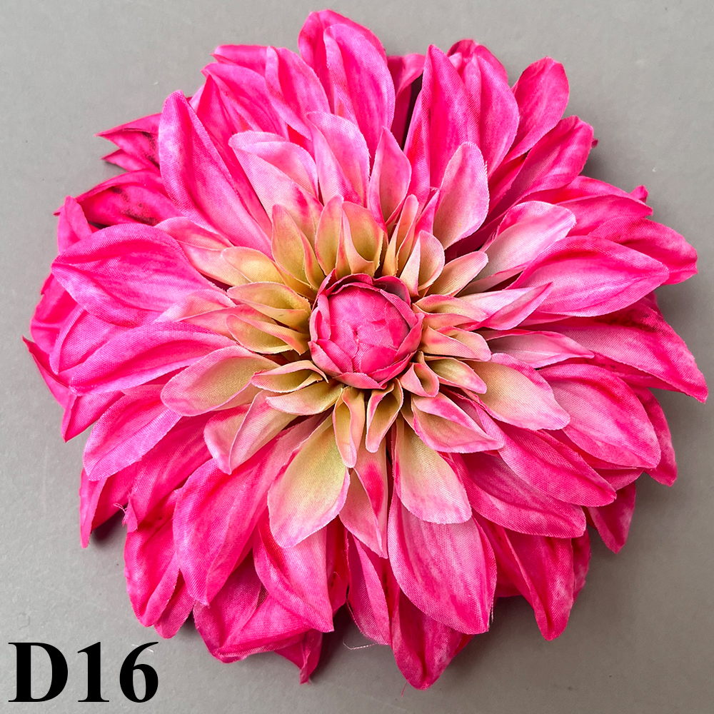 D16.jpg