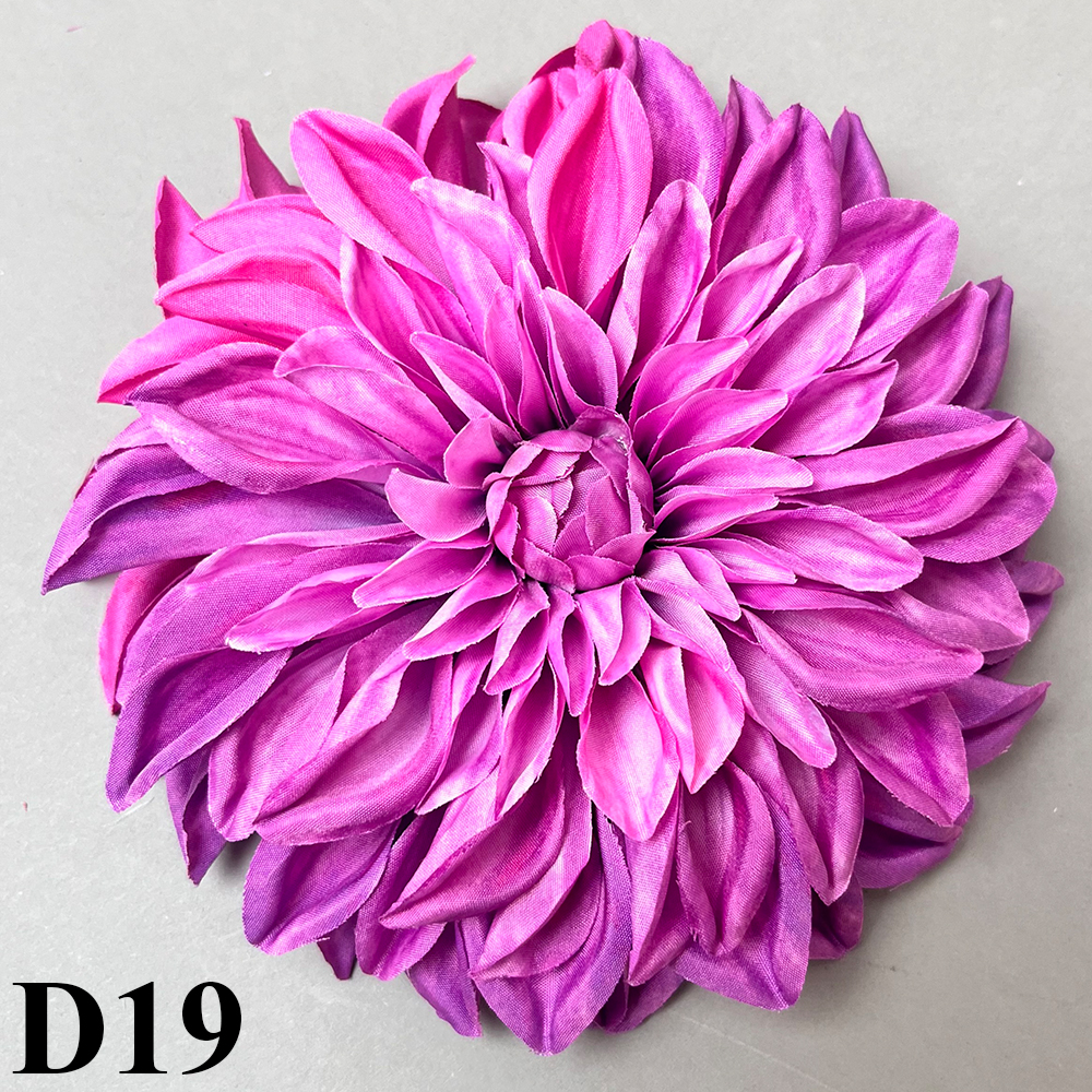 D19.jpg