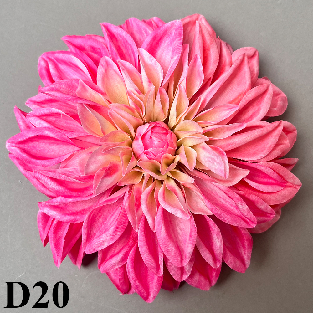 D20.jpg
