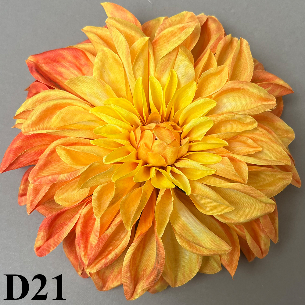 D21.jpg