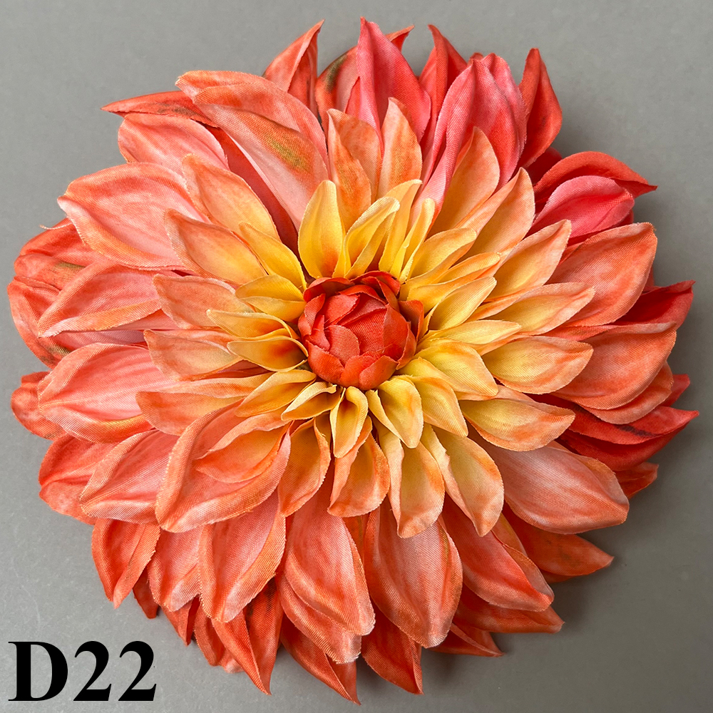 D22.jpg