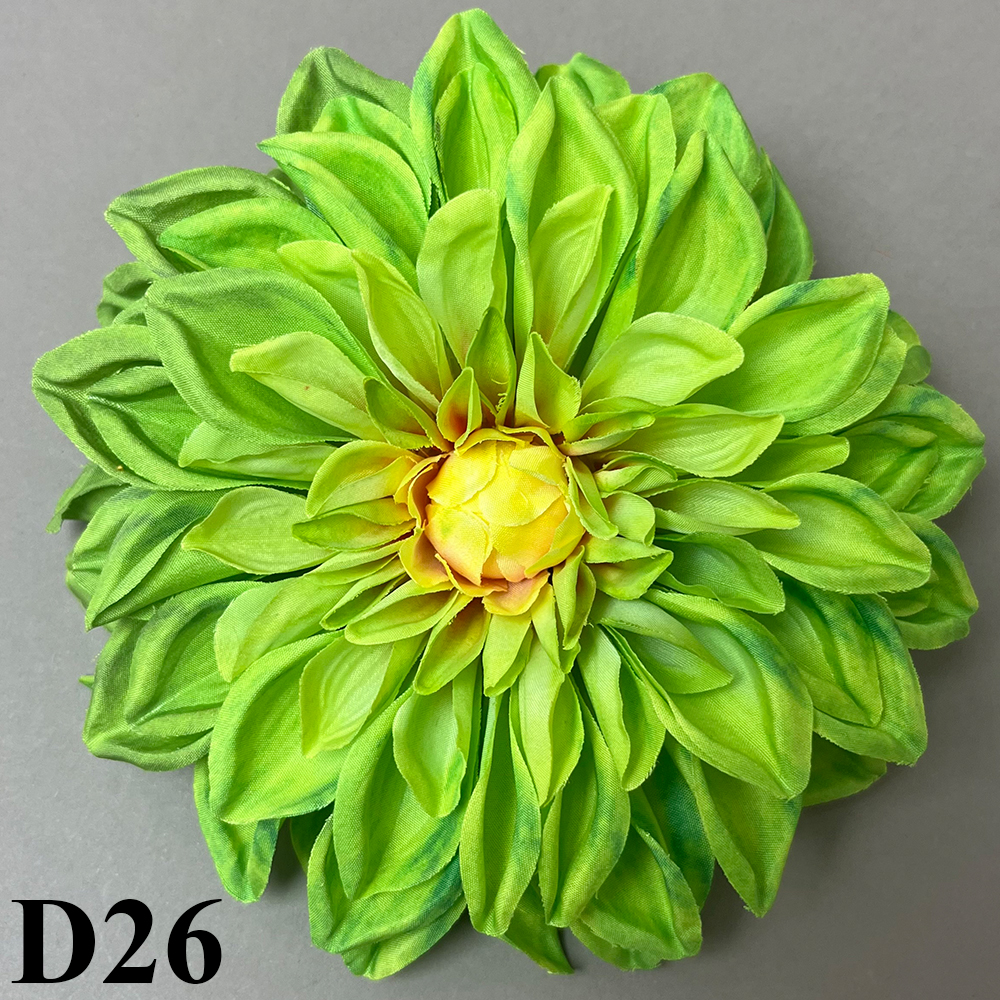 D26.jpg