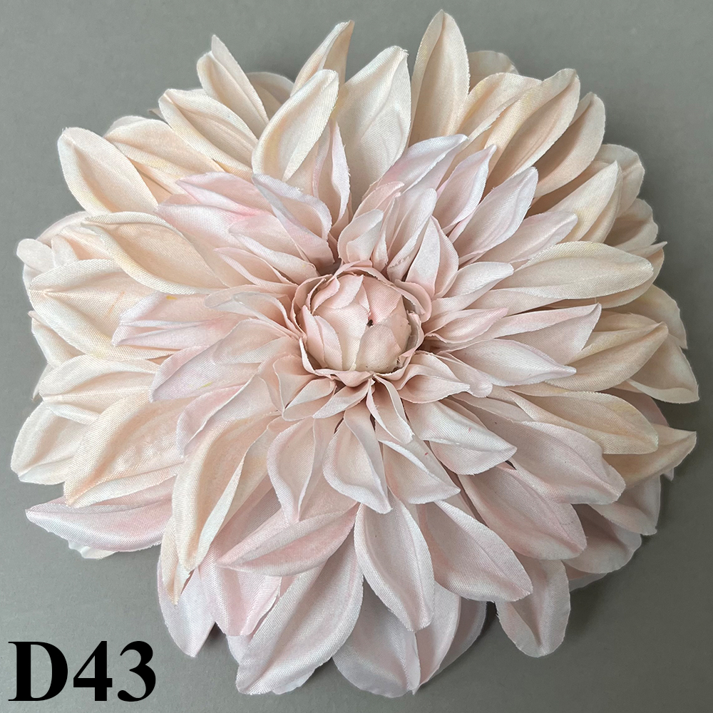 D43.jpg