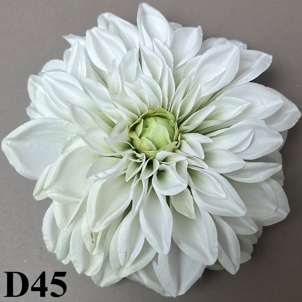 D45.jpg