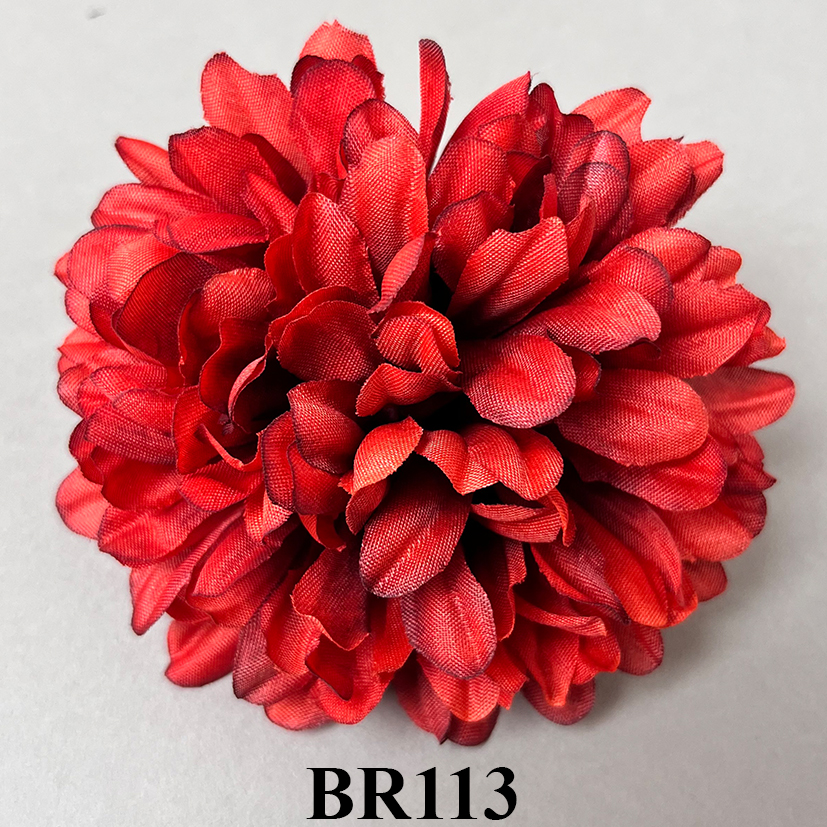 BR113.jpg