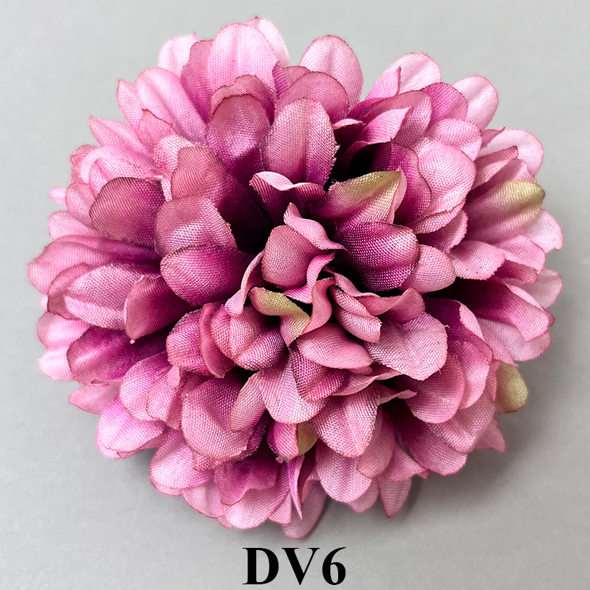 DV6.jpg