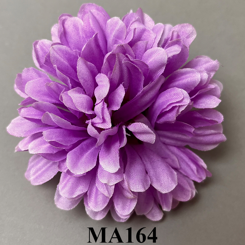 MA164.jpg