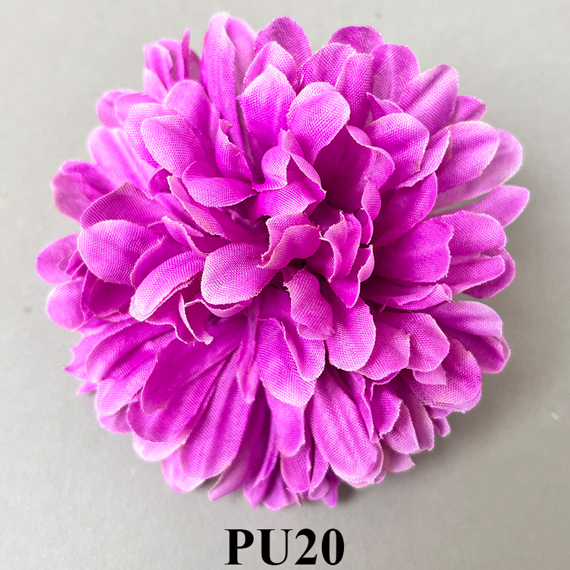PU20.jpg