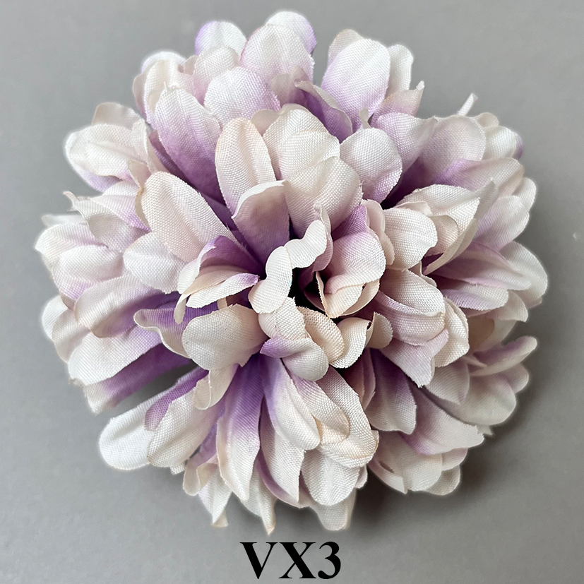 VX3.jpg