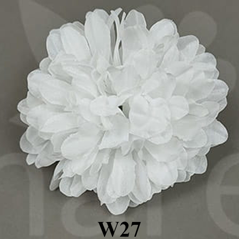 W27.jpg