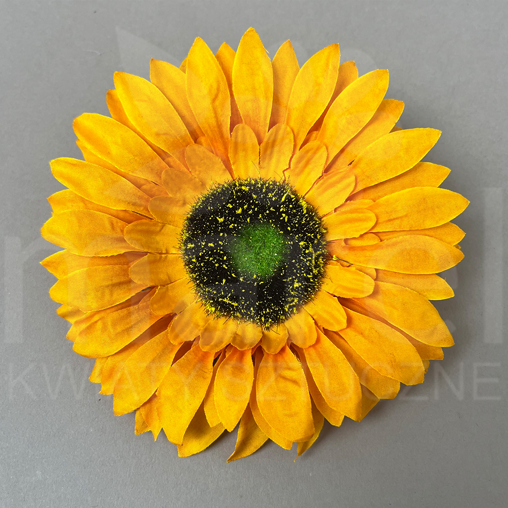 TH60-03H Yellow.jpg