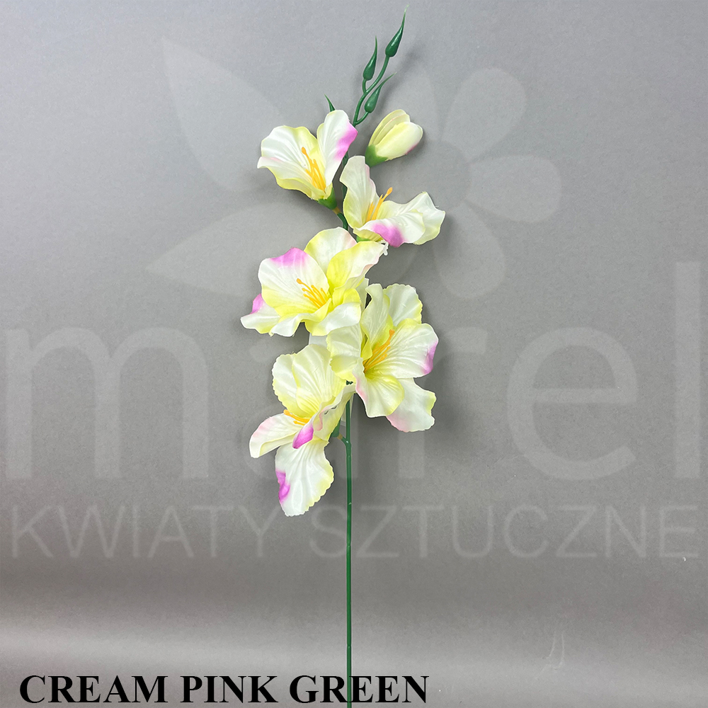 CREAM PINK GREEN.jpg