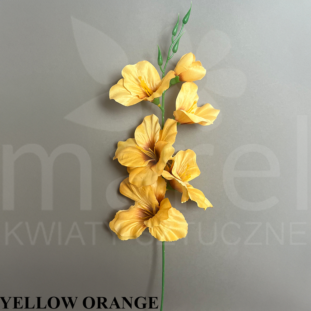 YELLOW ORANGE.jpg