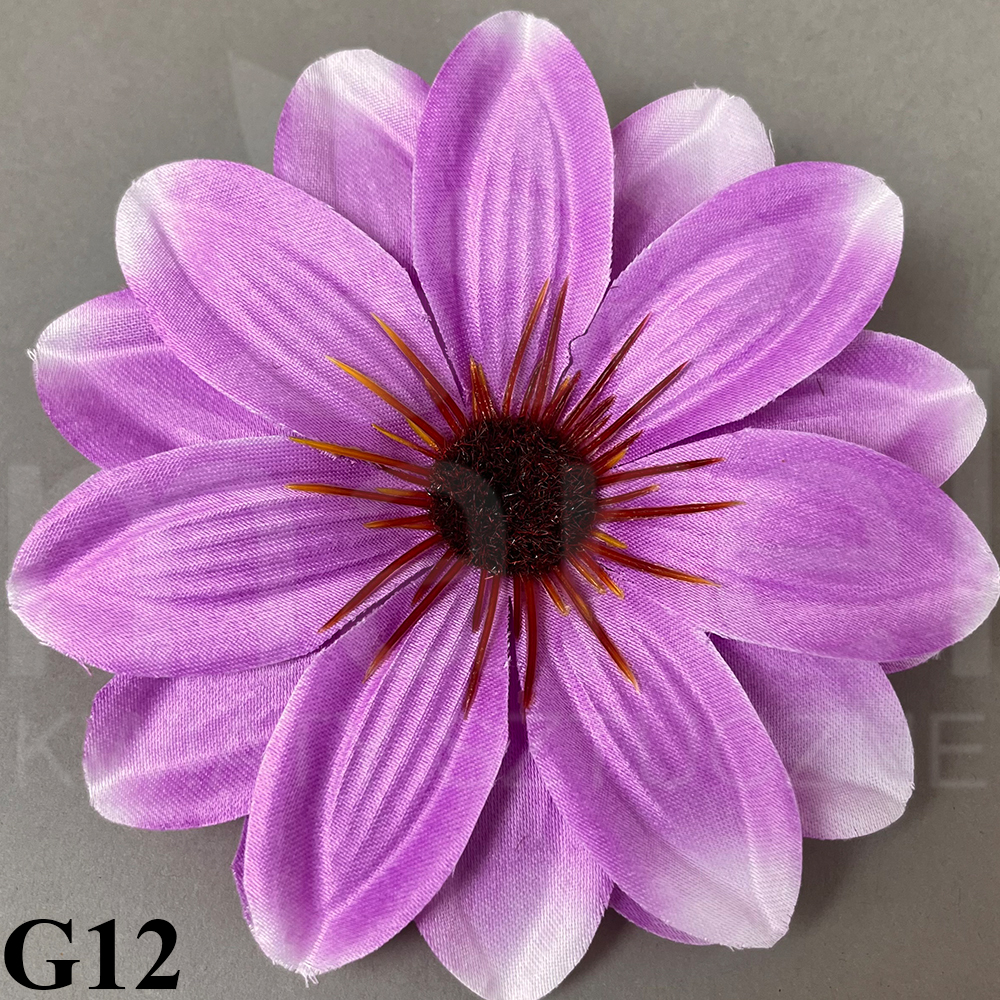 G12.jpg