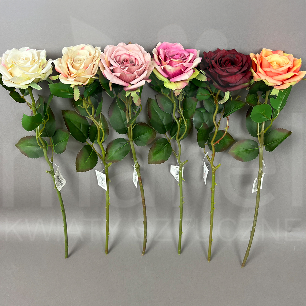 DL020370 MIX.jpg
