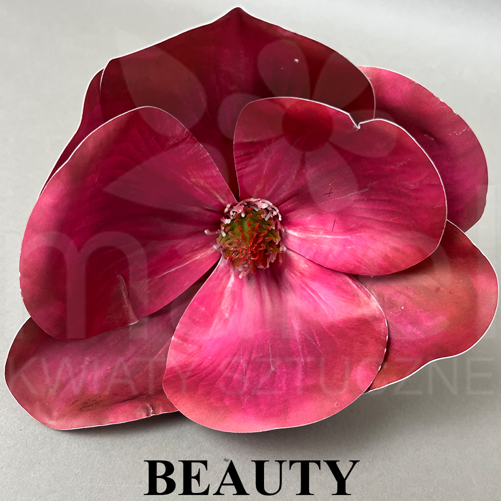 BEAUTY.jpg