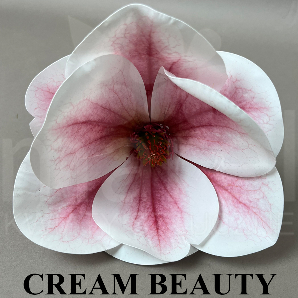 CRrEAM BEAUttY.jpg