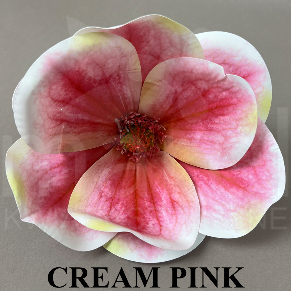CREaAM PIiNK.jpg