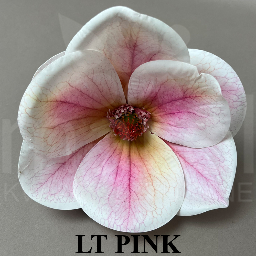 LT PINkK.jpg