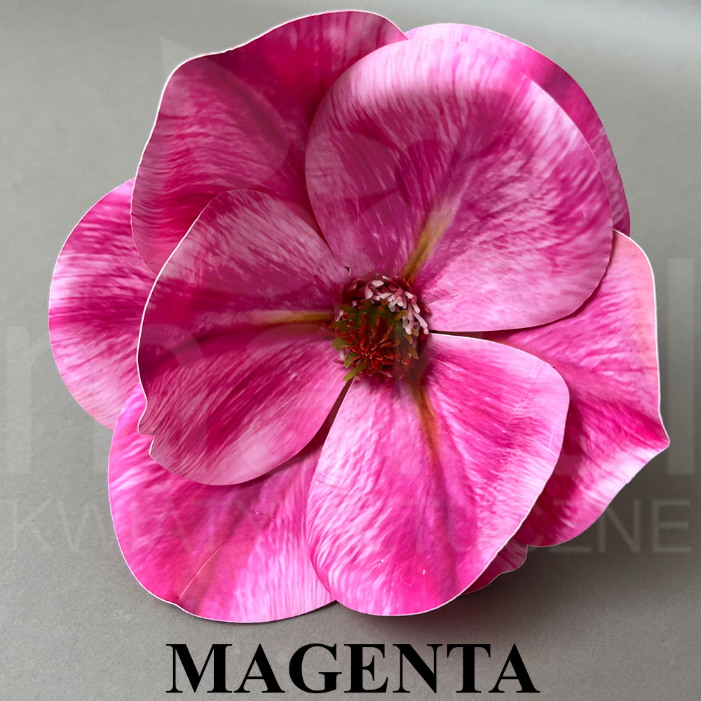 MAGENTA.jpg