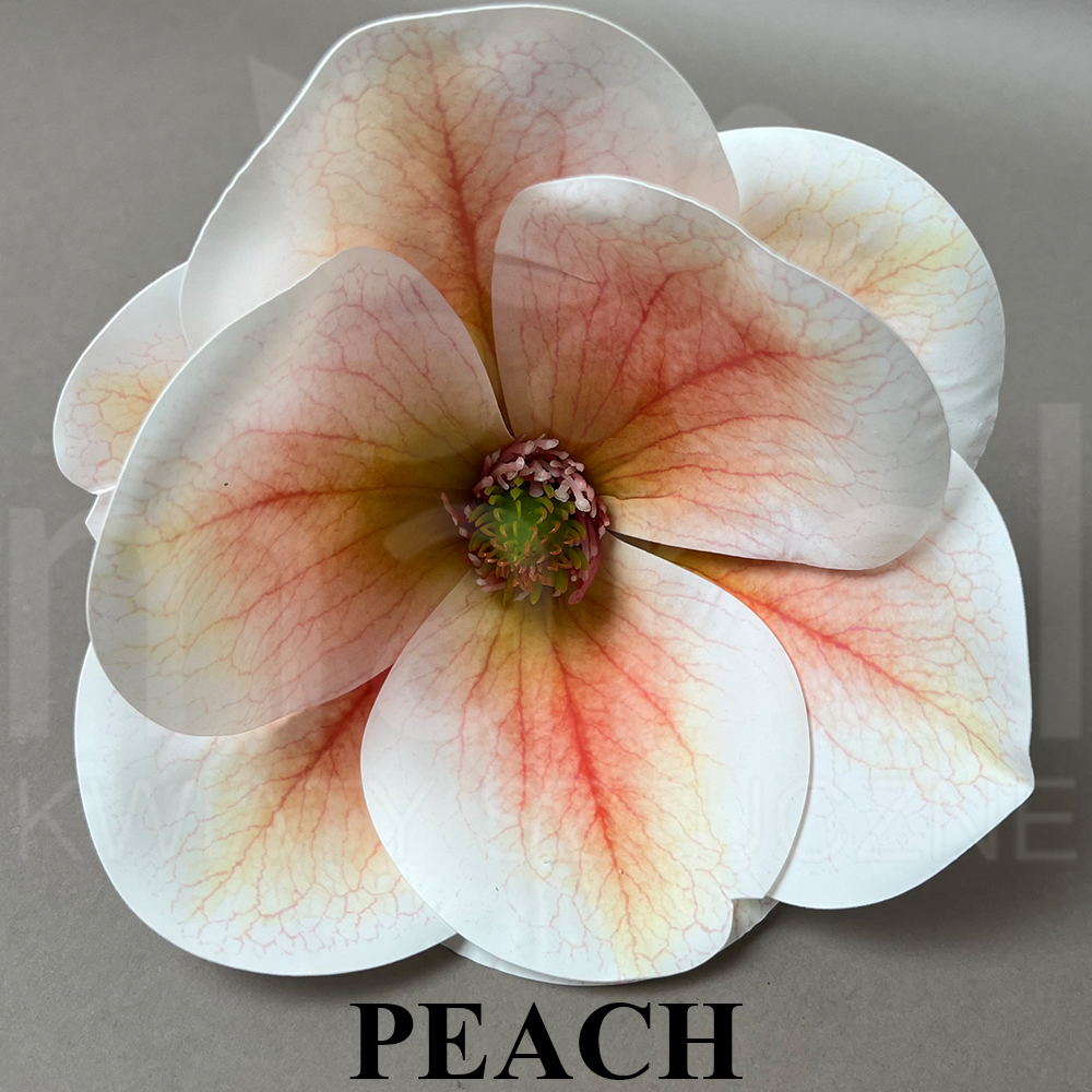 PEACH.jpg