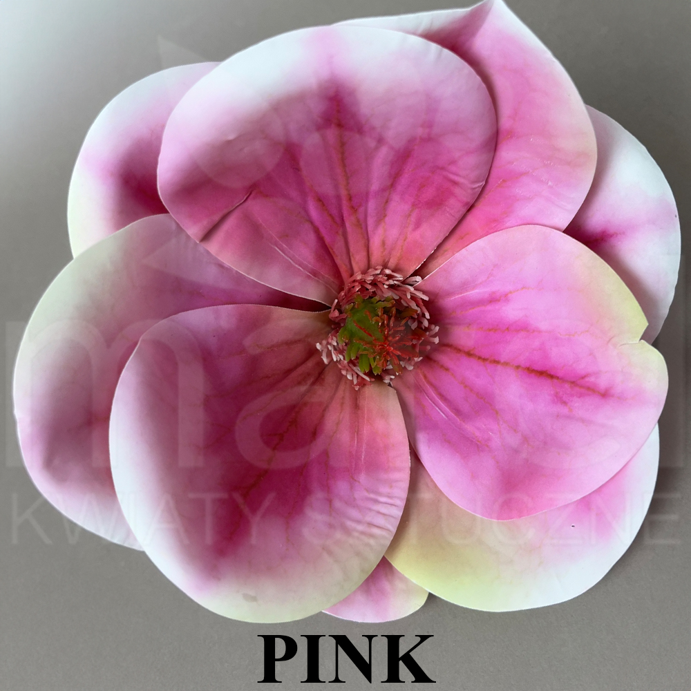 PINnK.jpg