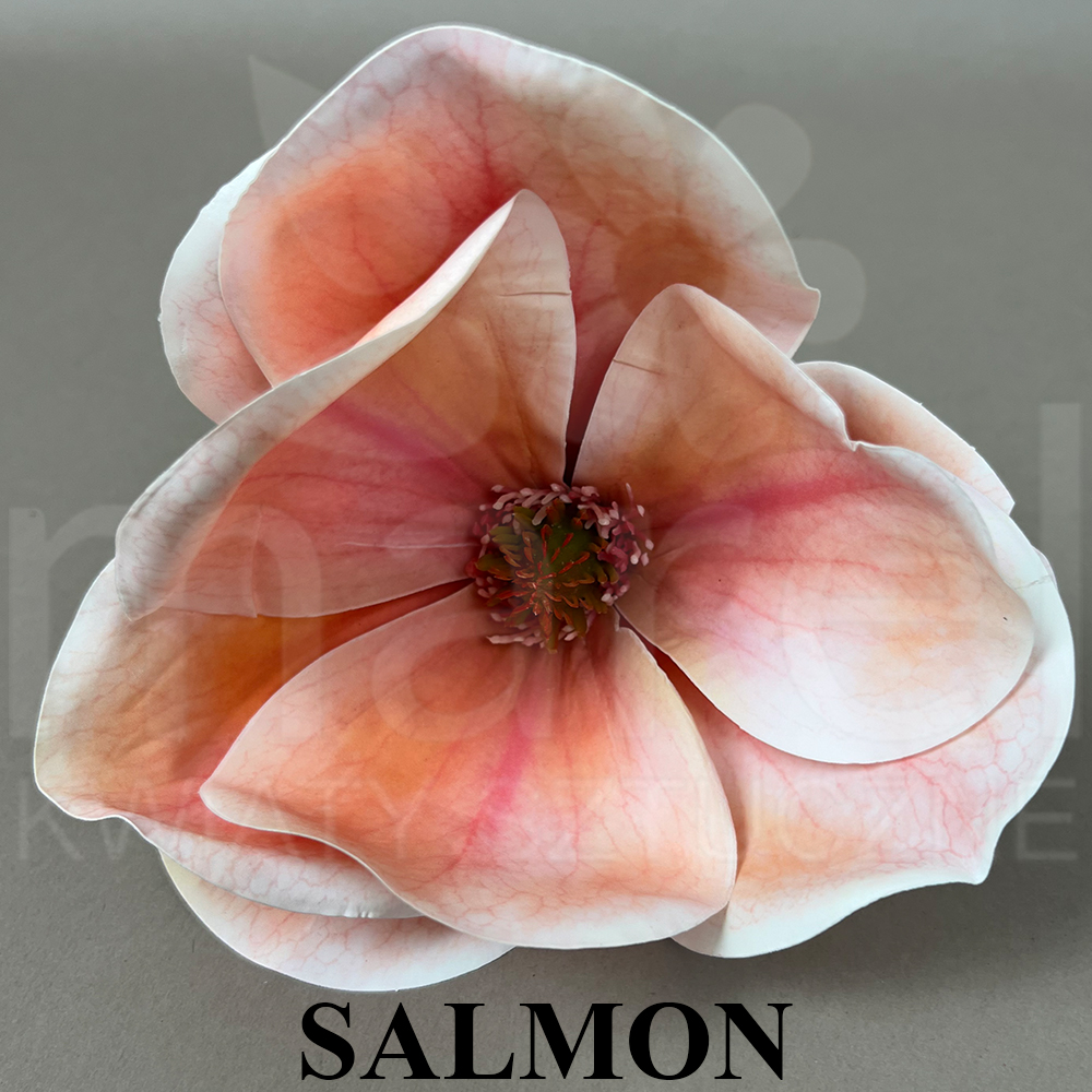 SALMON.jpg