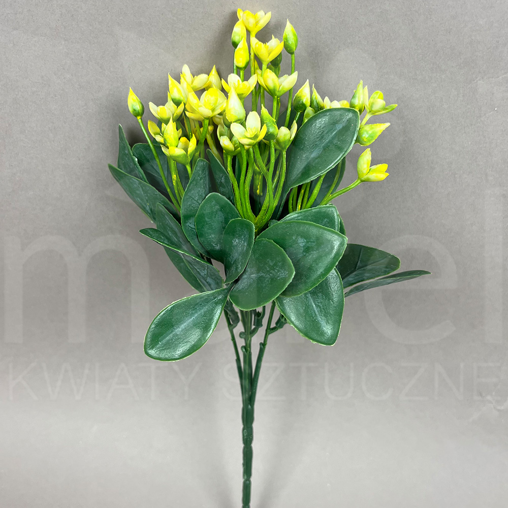MRL00098 POJ.jpg