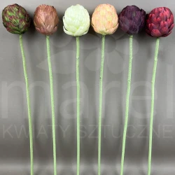 Karczoch na łodydze DL030515 MIX