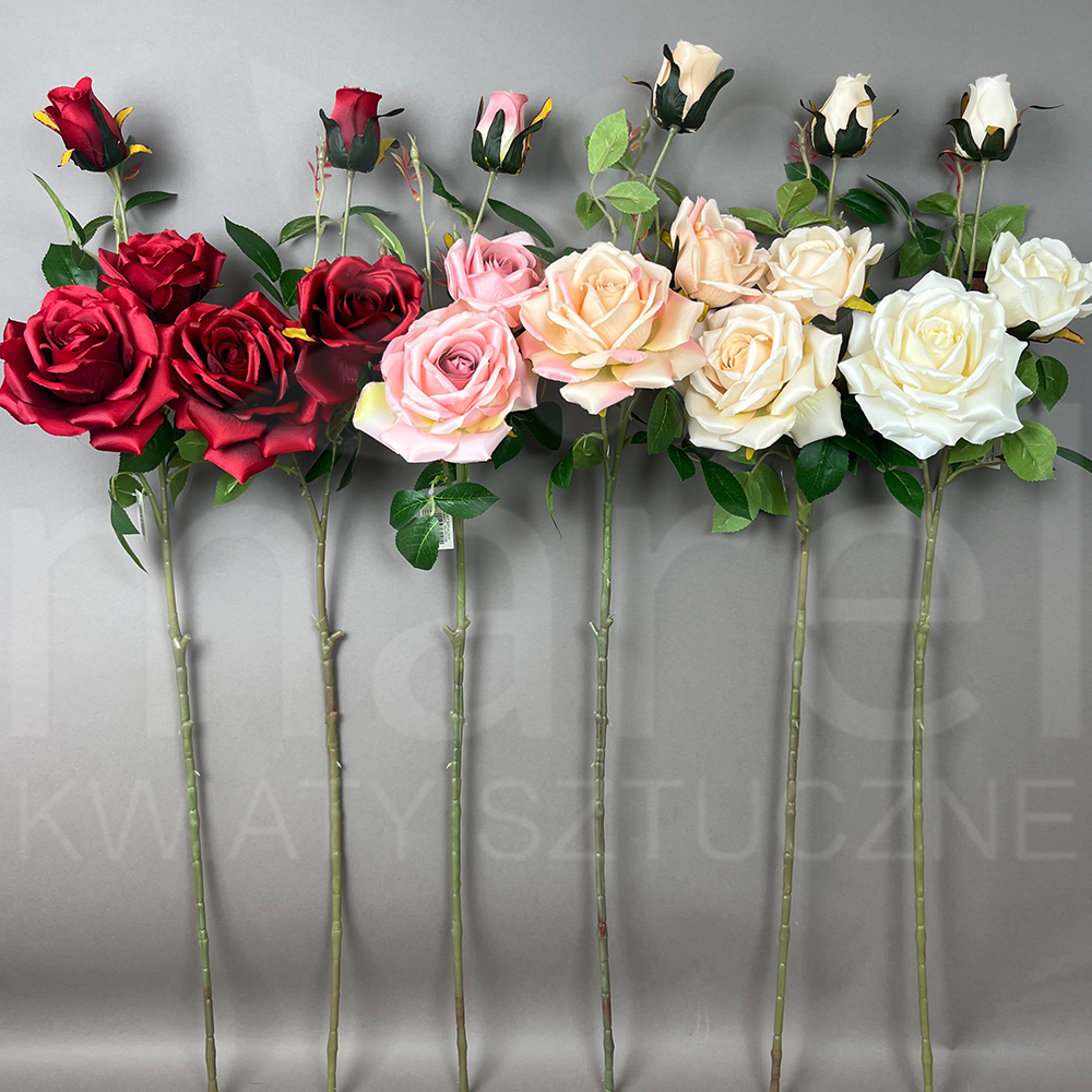 DL050258 MIX.jpg