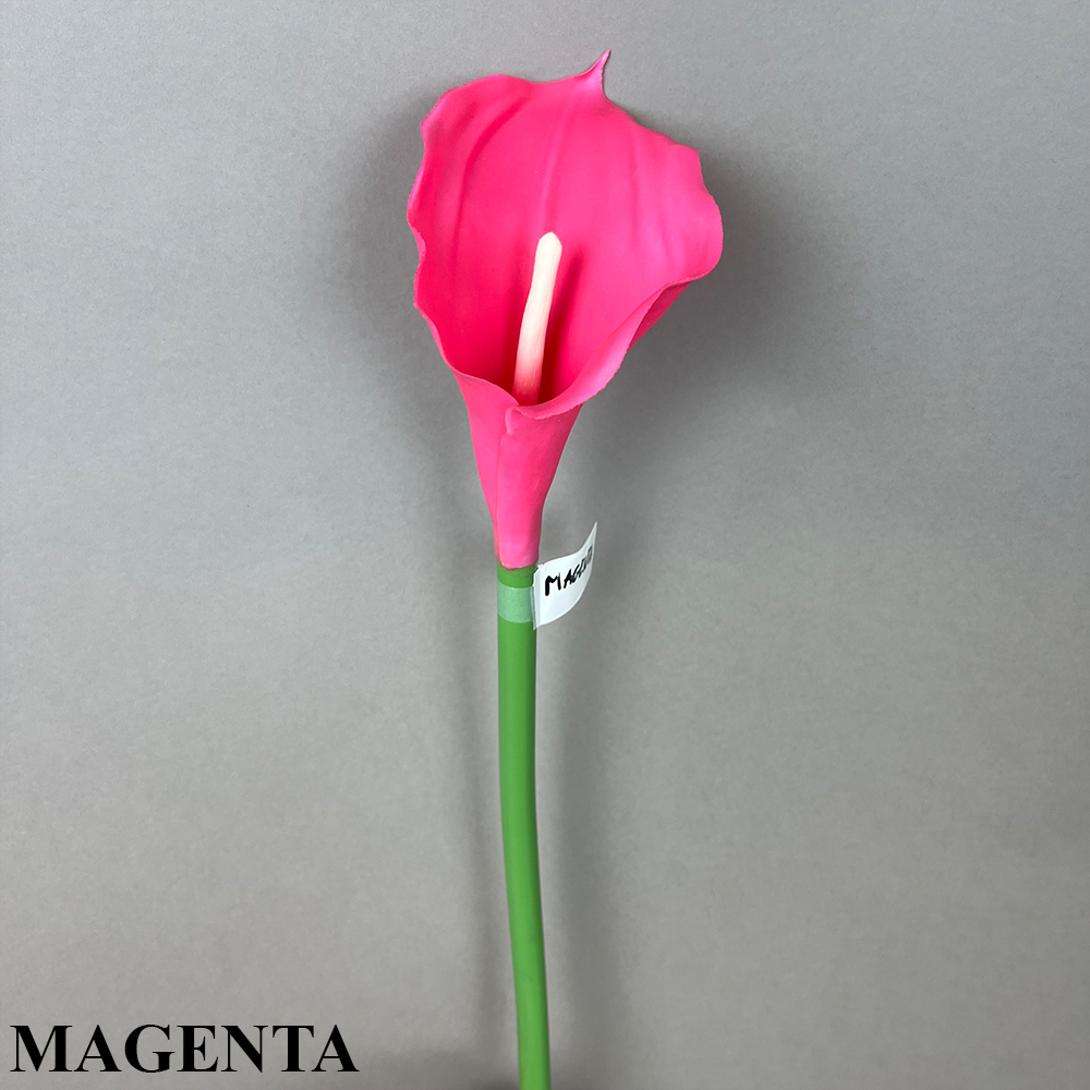 MAGENTA.jpg