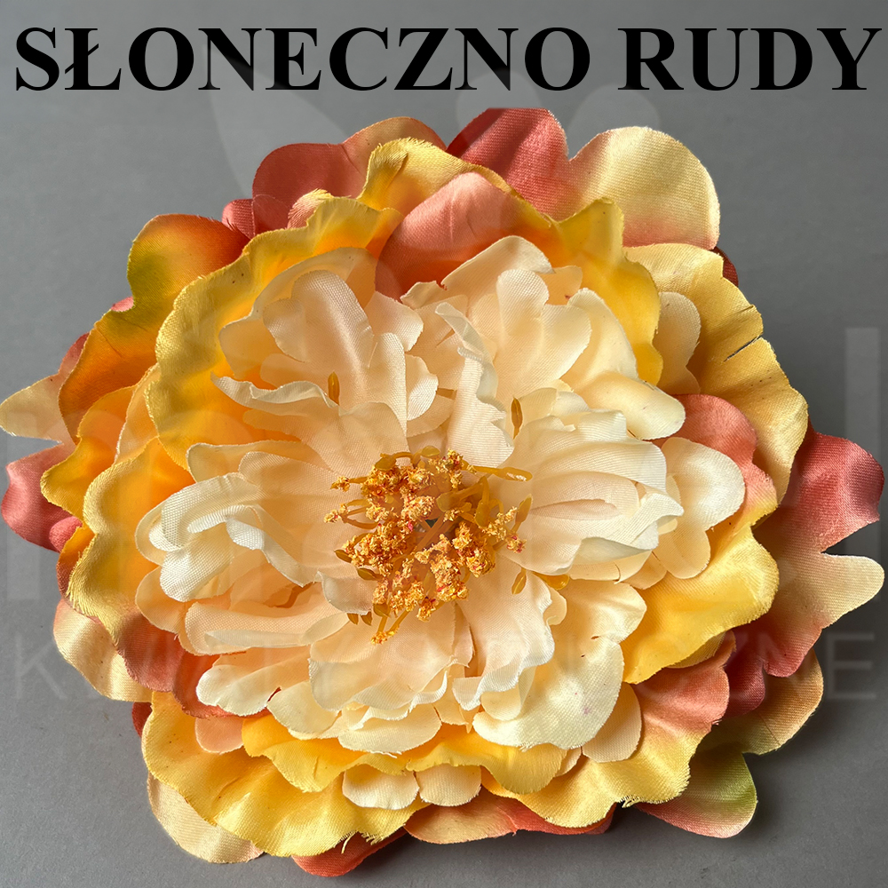 SŁONECZNO RUDY.jpg