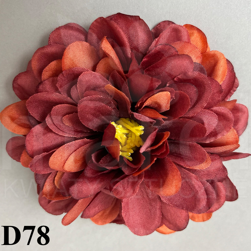 D78.jpg