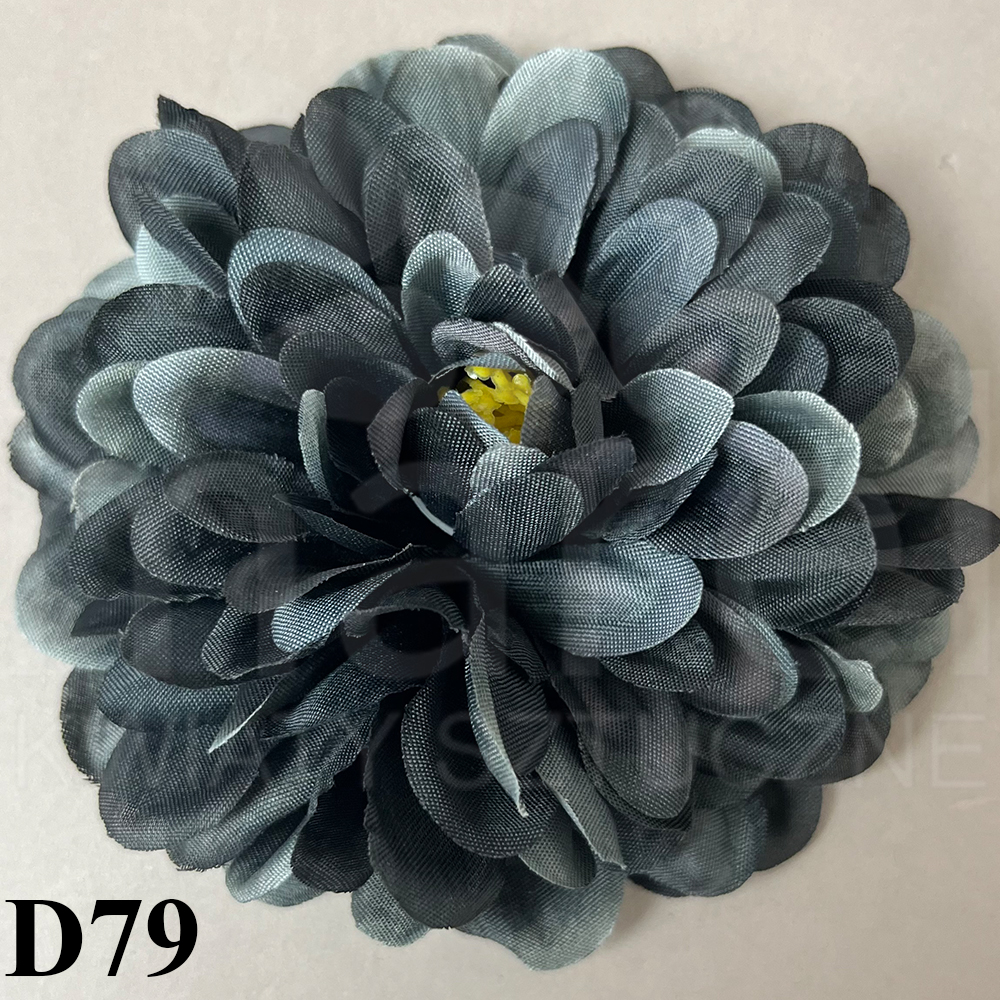 D79.jpg