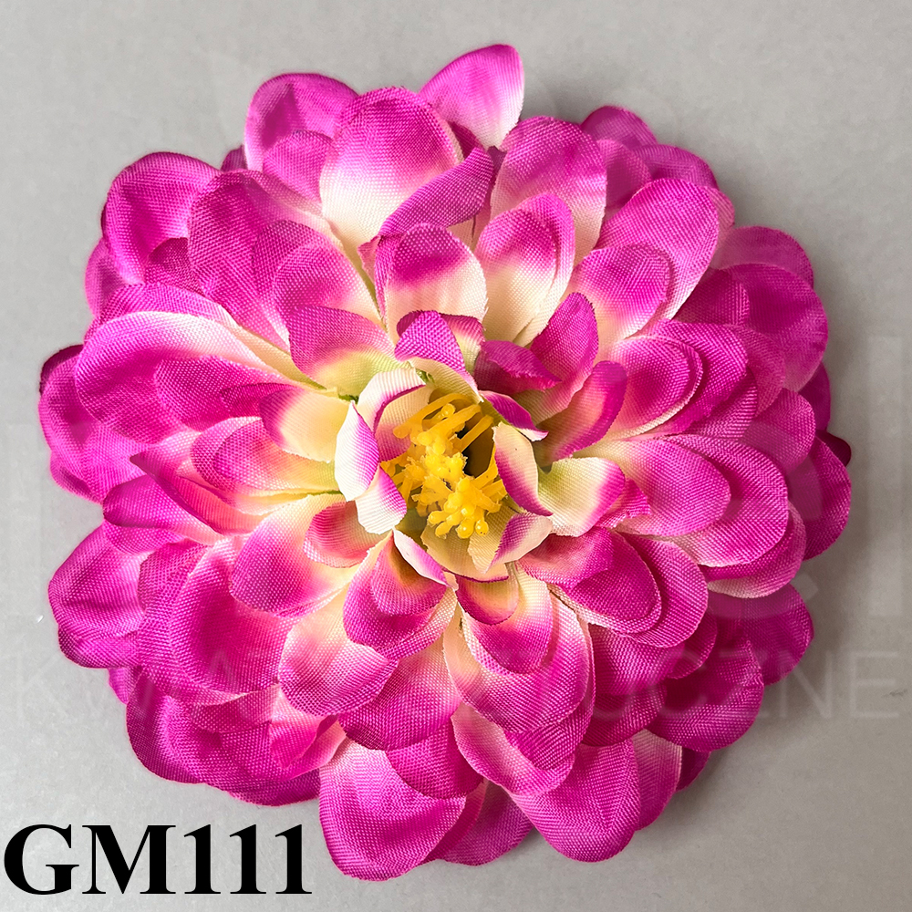 GM111.jpg