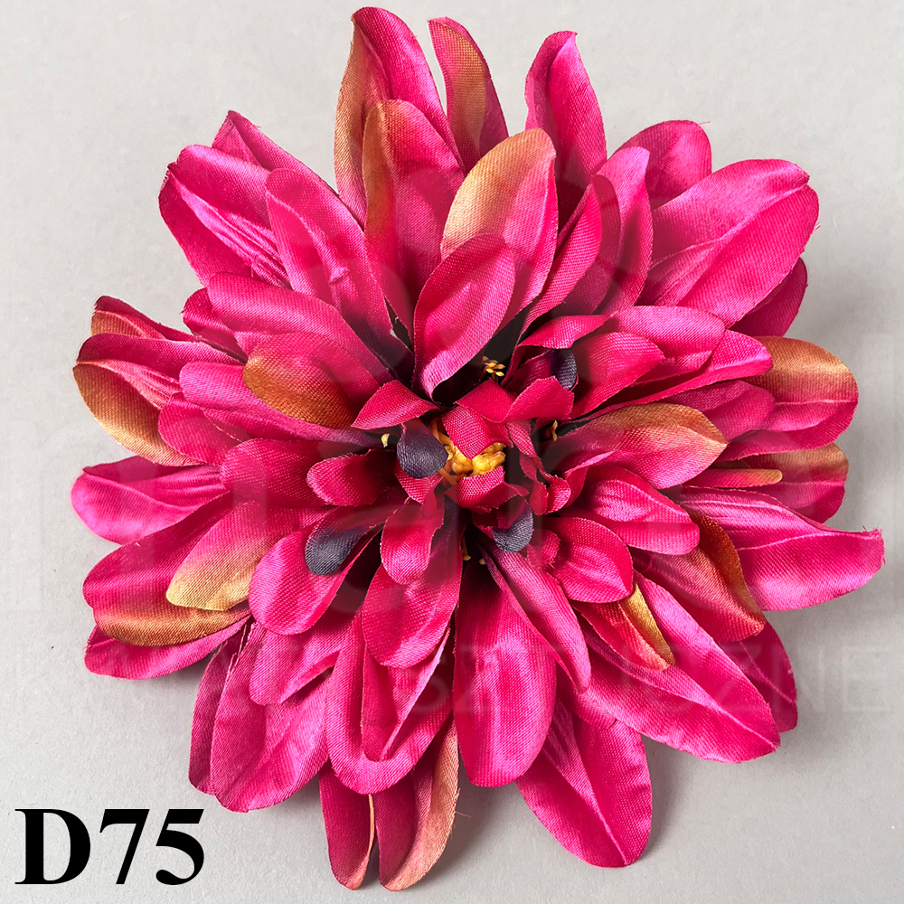 D75.jpg