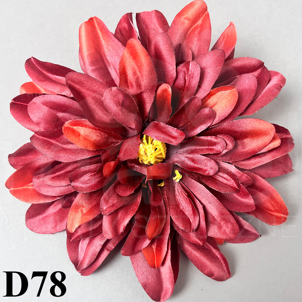 D78.jpg
