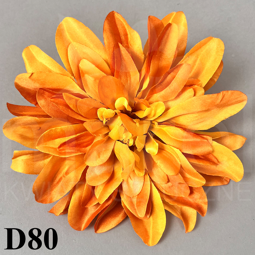 D80.jpg